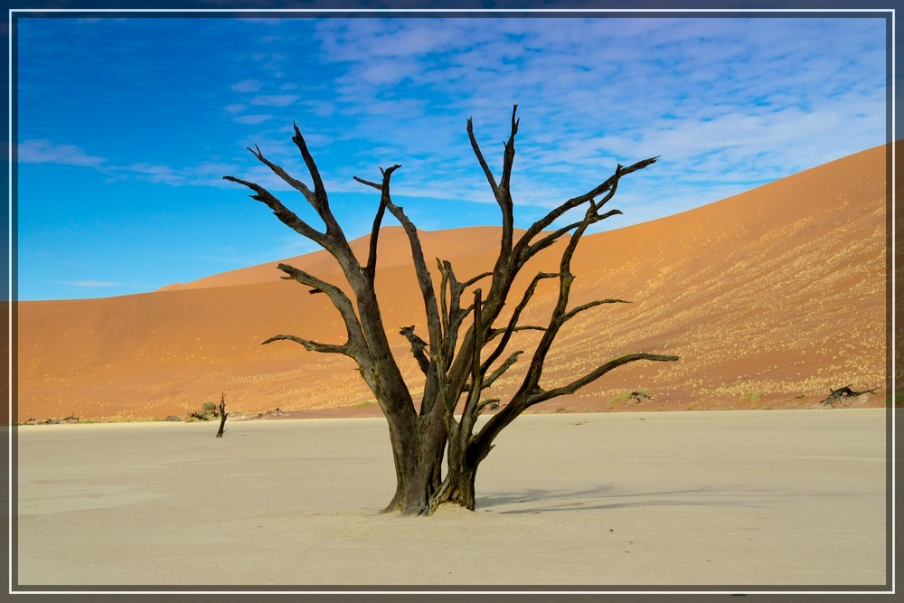 Dead Vlei (Namibia)