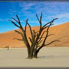 Dead Vlei (Namibia)