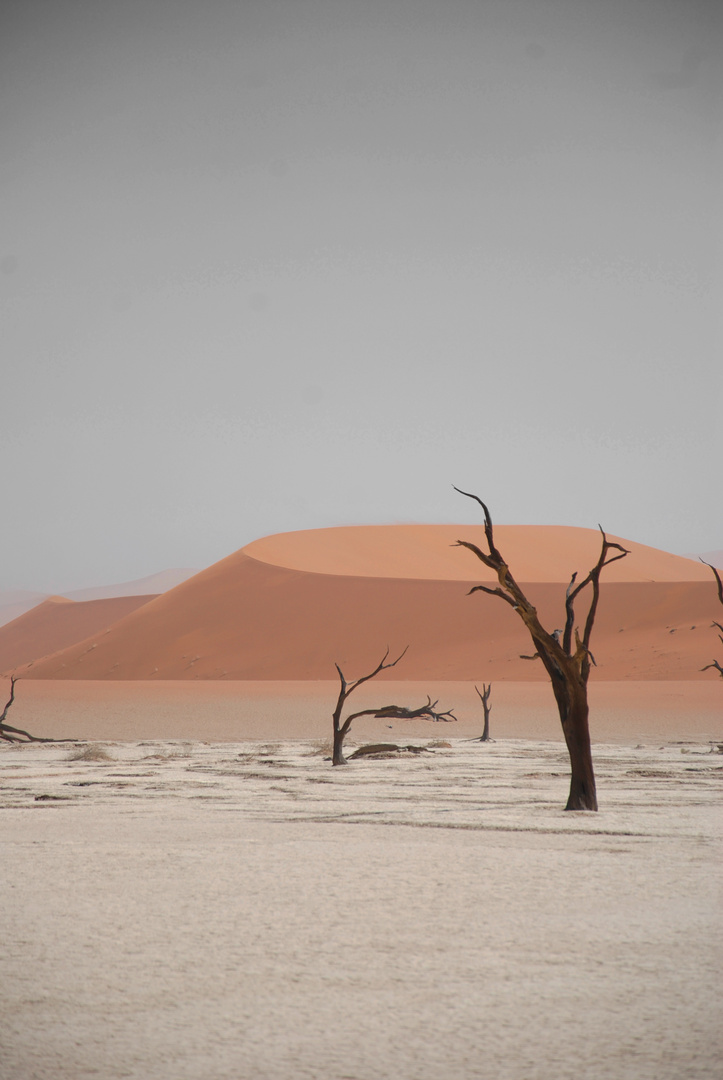 Dead Vlei, Namibia