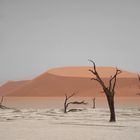 Dead Vlei, Namibia