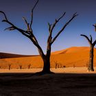 Dead Vlei - Namibia