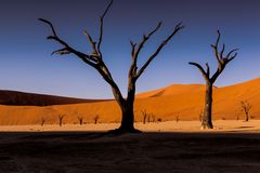 Dead Vlei - Namibia