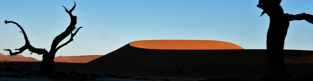 Dead Vlei, Namibia