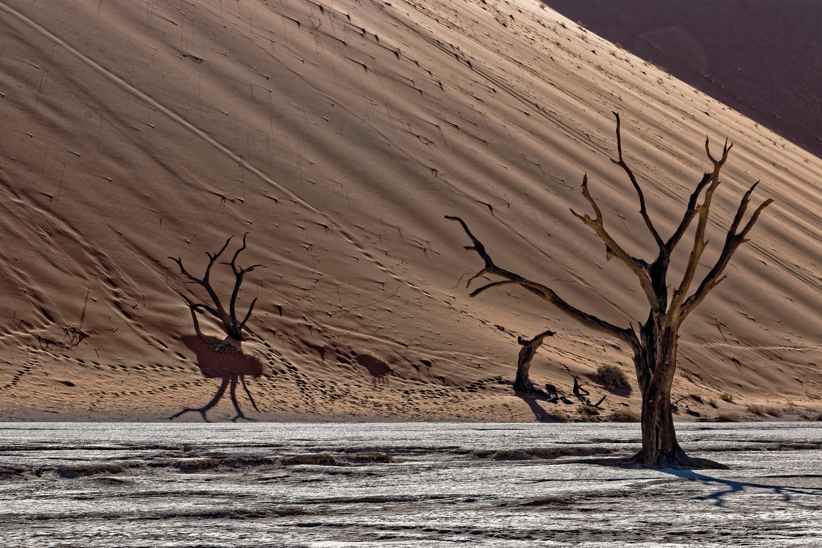 Dead Vlei, Namibia