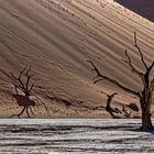 Dead Vlei, Namibia