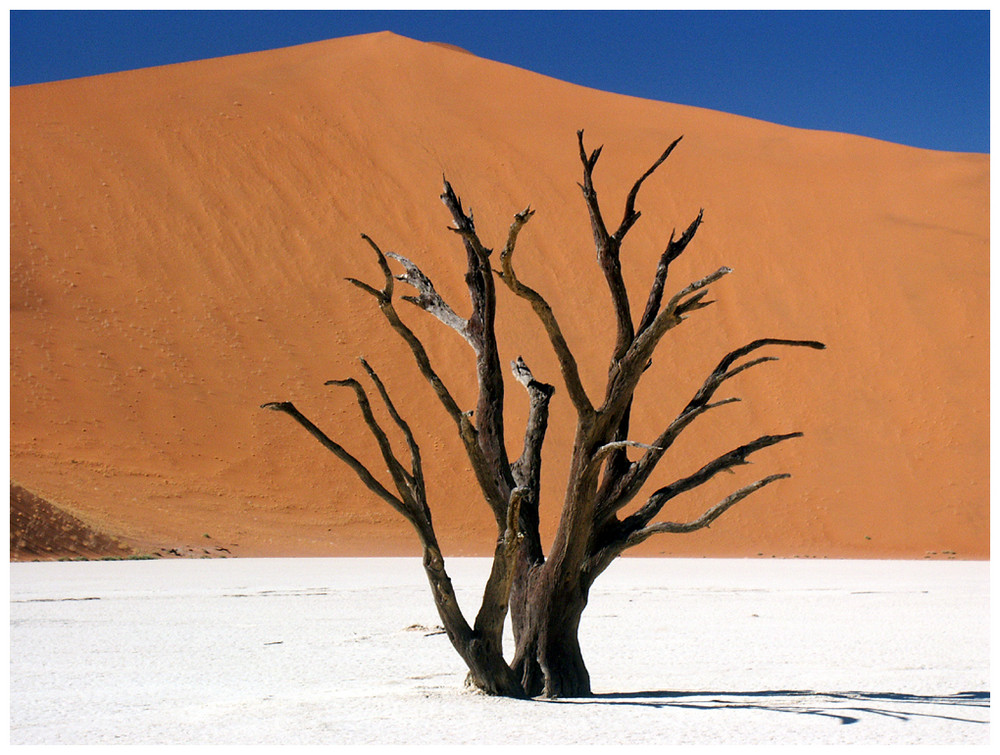 Dead Vlei, Namibia