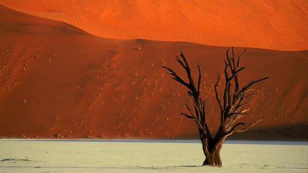 Dead Vlei - Namibia