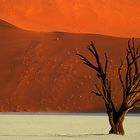 Dead Vlei - Namibia