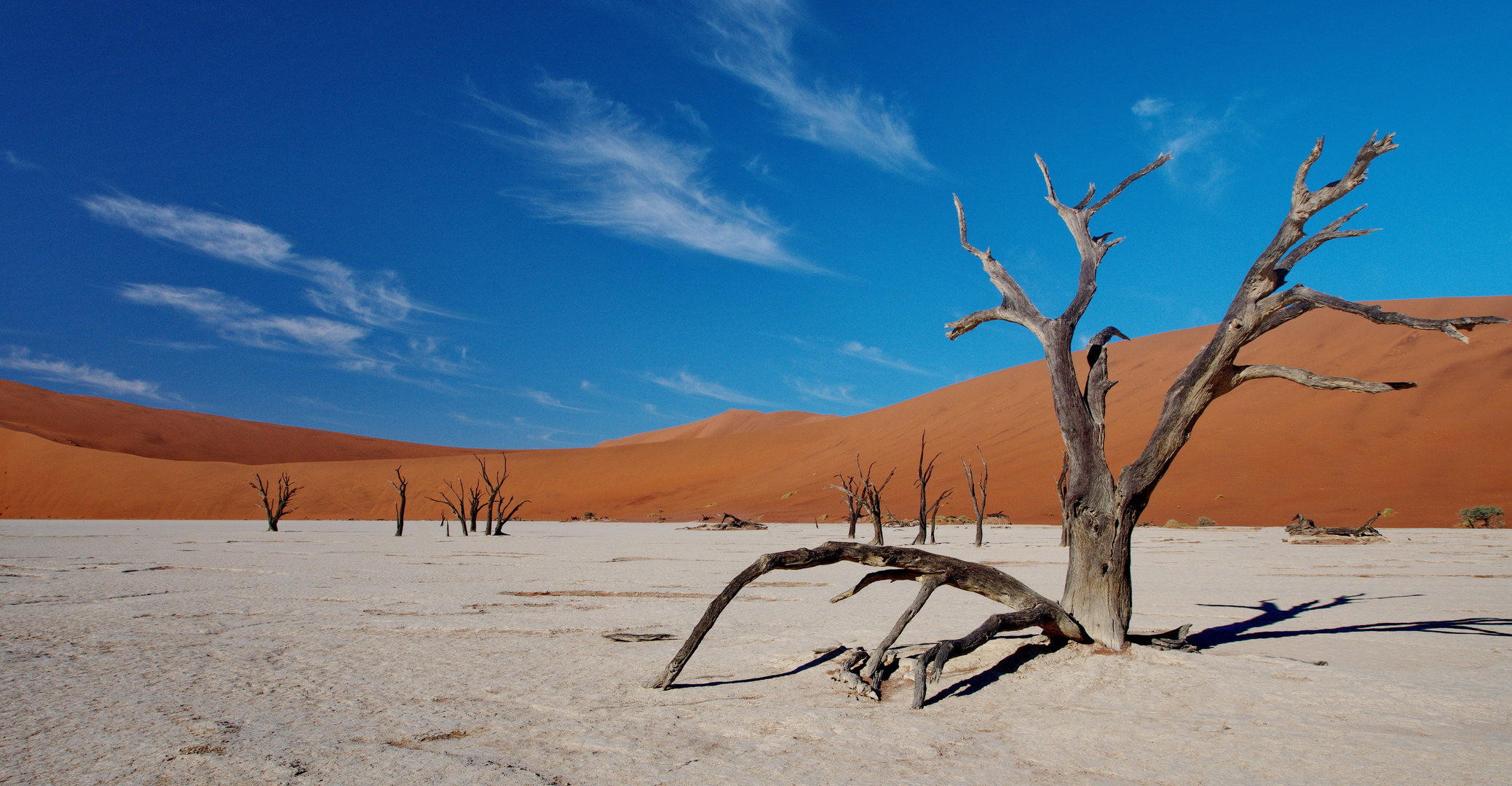 Dead Vlei / Namibwüste