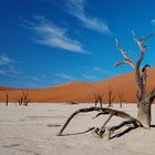 Dead Vlei / Namibwüste