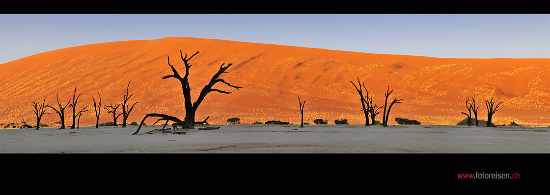 Dead Vlei Panorama