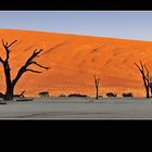 Dead Vlei Panorama