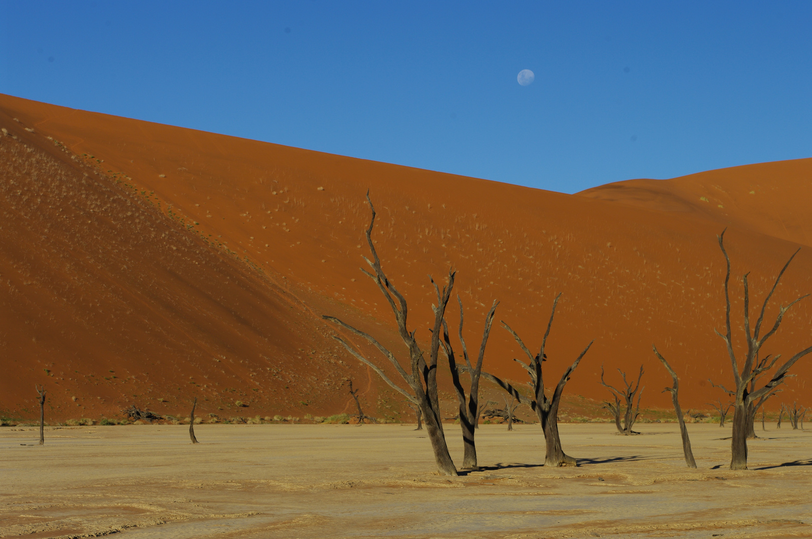 Dead Vlei, Sossusvlei