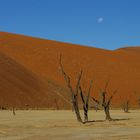 Dead Vlei, Sossusvlei