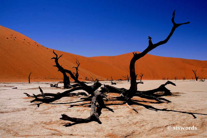 Dead Vlei @ Sossusvlei