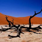 Dead Vlei @ Sossusvlei