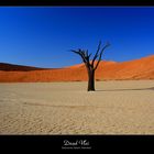 Dead Vlei - Sossusvlei Desert (Namibia)