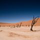 Dead Vlei, Sossusvlei / Namibia