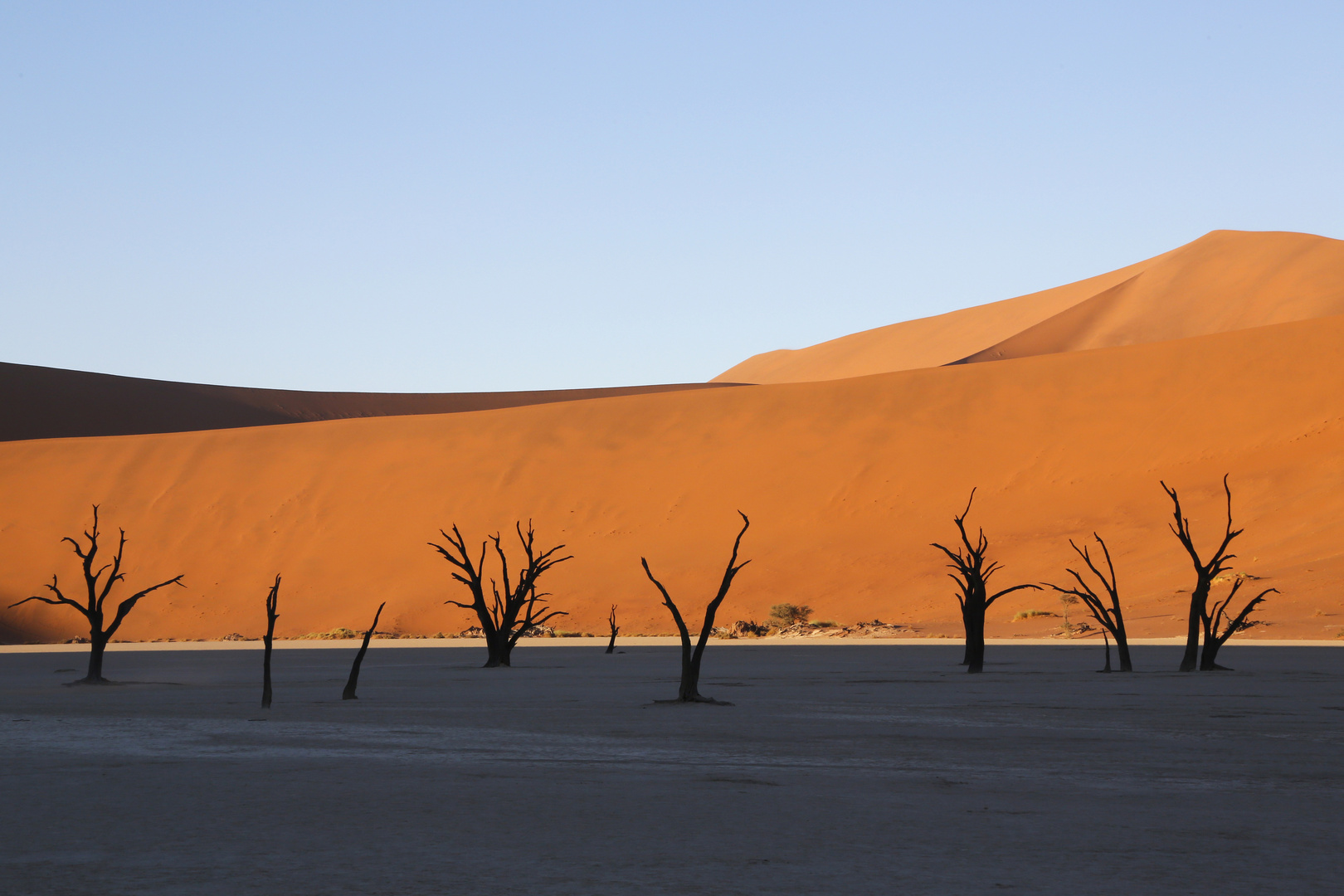 Dead Vlei, Sossusvlei, Namibia