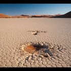 dead vlei - the other side I