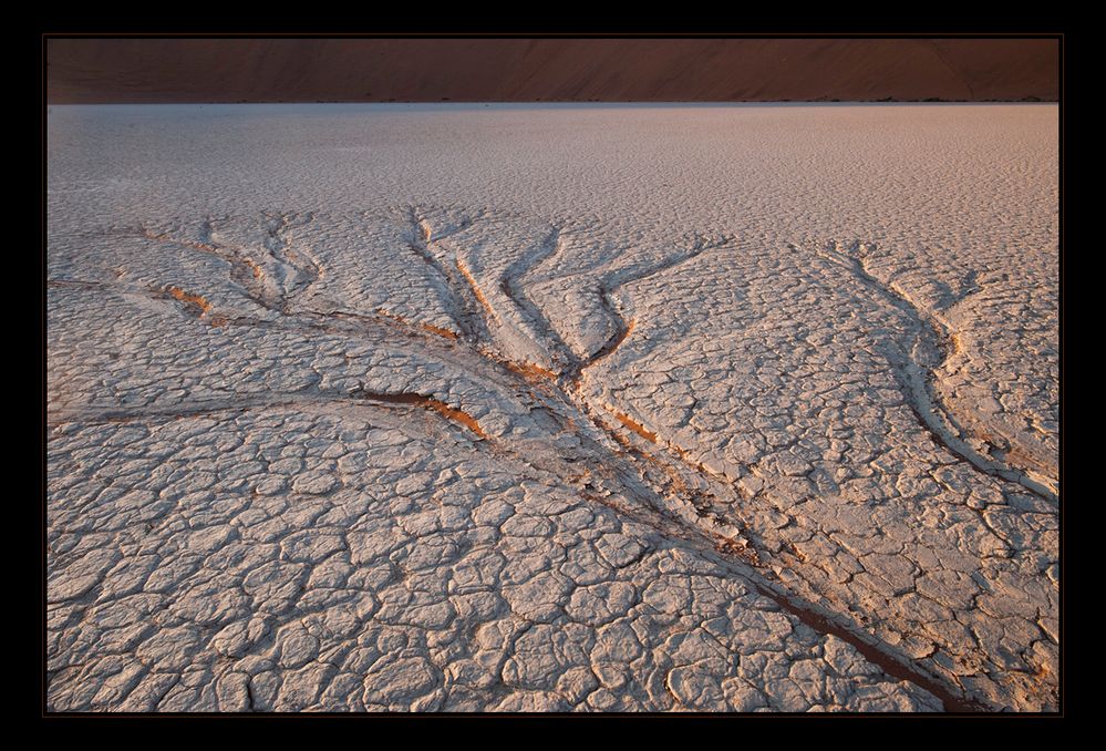 dead vlei - the other side II