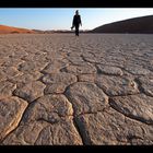 dead vlei - the other side IV