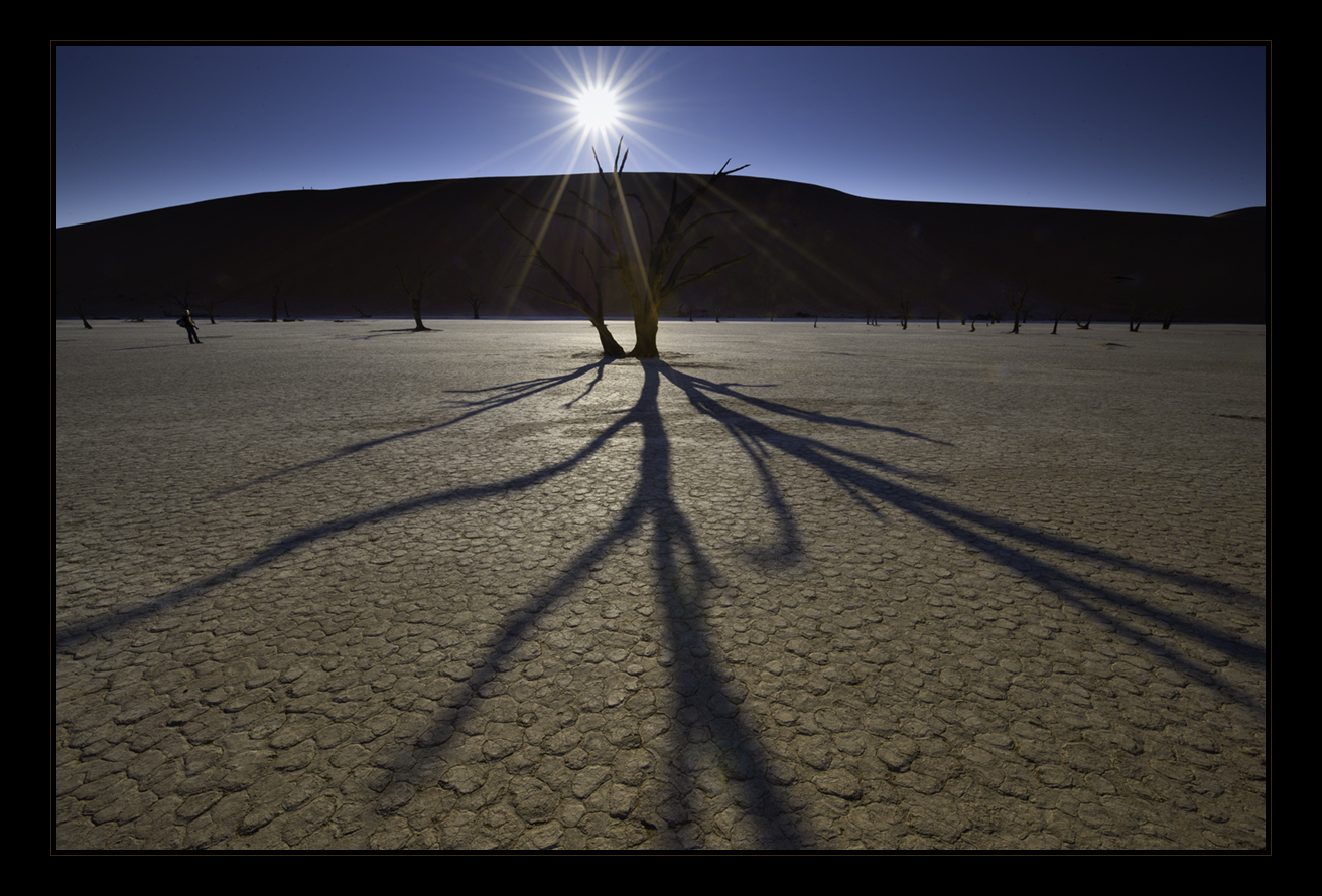 dead vlei - the other side V