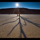 dead vlei - the other side V