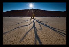 dead vlei - the other side V