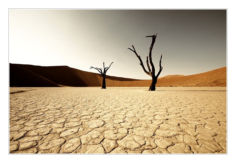 Dead Vlei - Toned