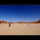 Dead Vlei Totale