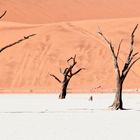 Dead Vlei V