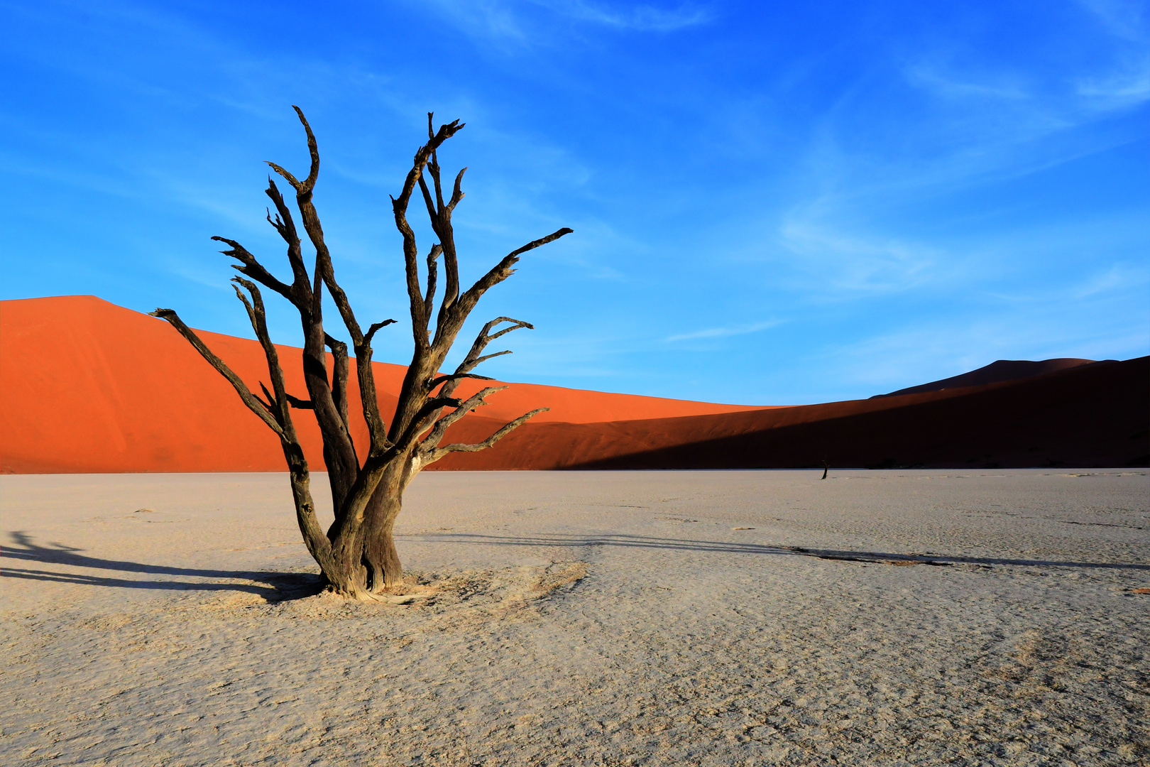 Dead Vlei zum Sonnenuntergang