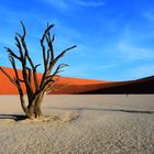 Dead Vlei zum Sonnenuntergang