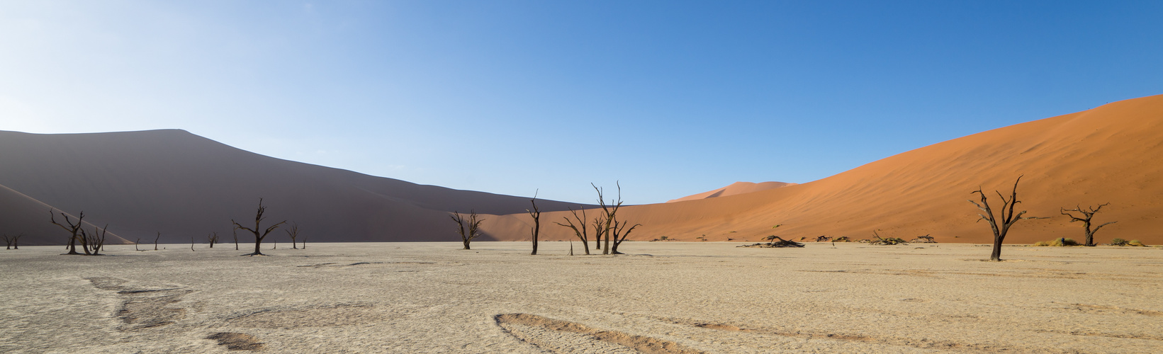 Dead Vlei - Zwischen Licht und Schatten