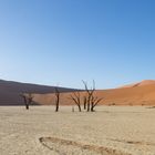 Dead Vlei - Zwischen Licht und Schatten