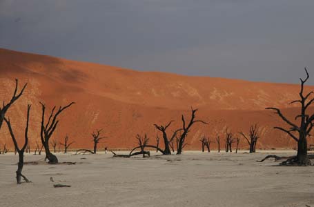 deadflei namibia