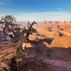 Deadhorse Point