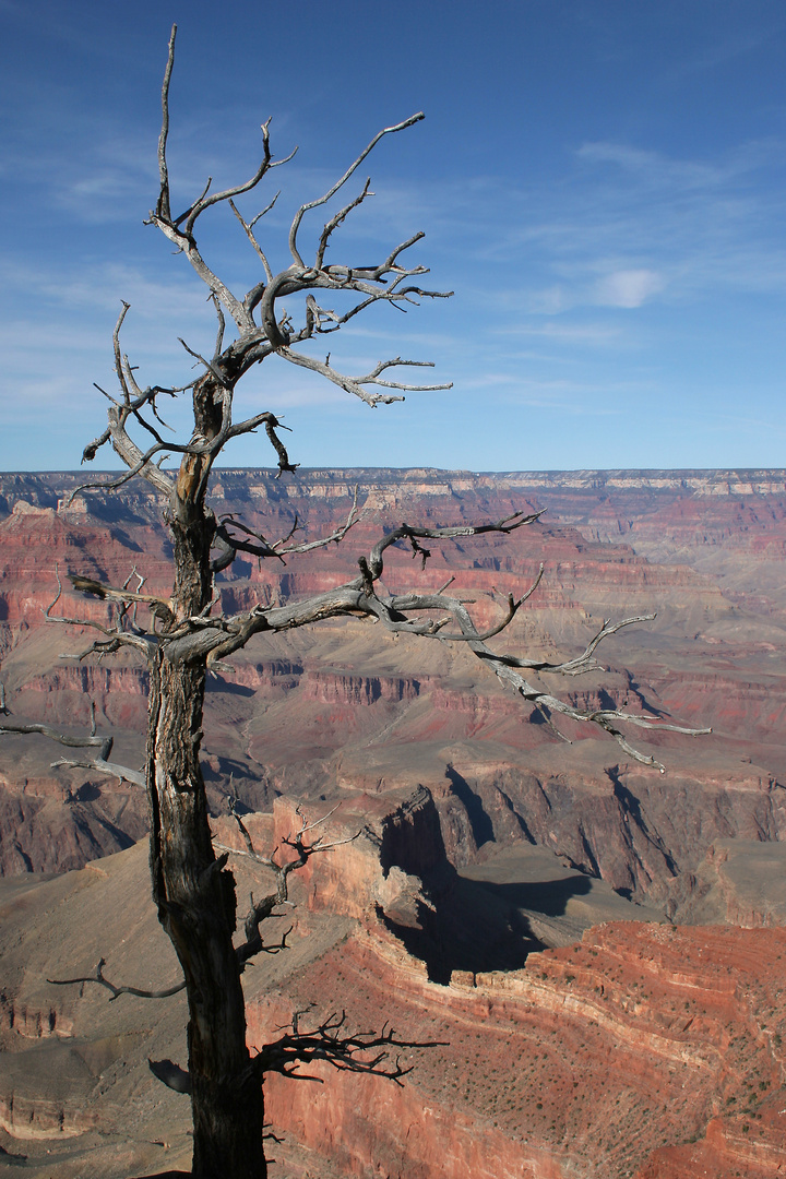 Deadly Grand Canyon