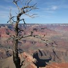 Deadly Grand Canyon