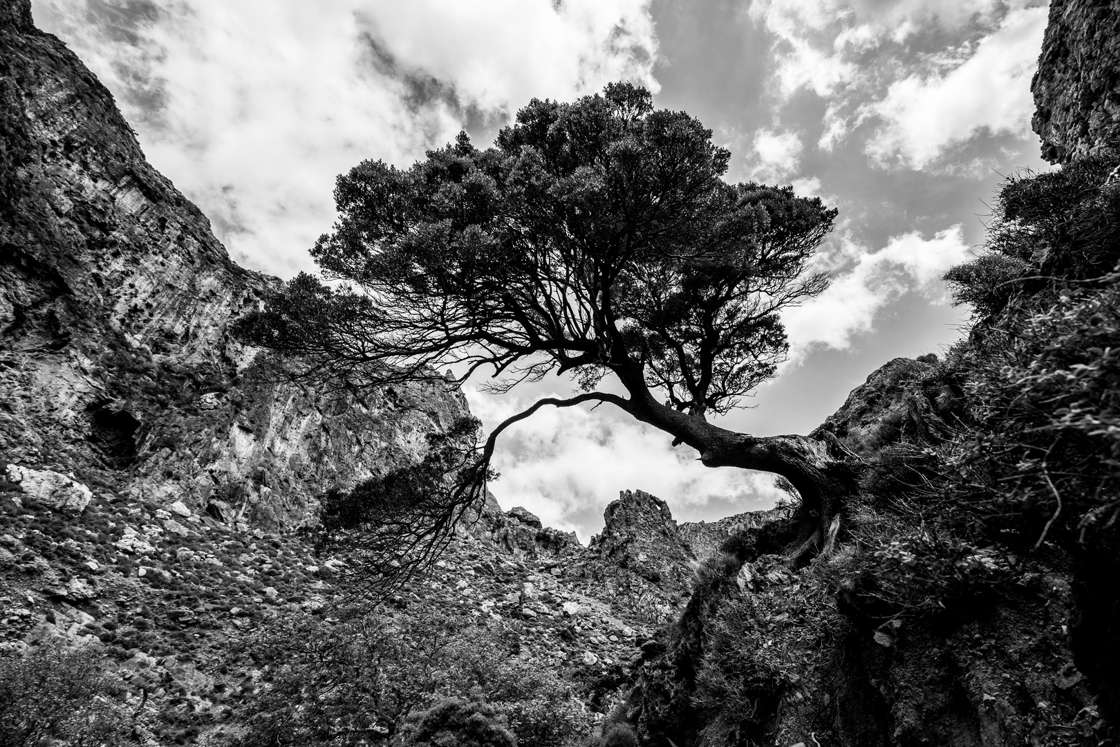 dead´s gorge - im "Tal der Toten"