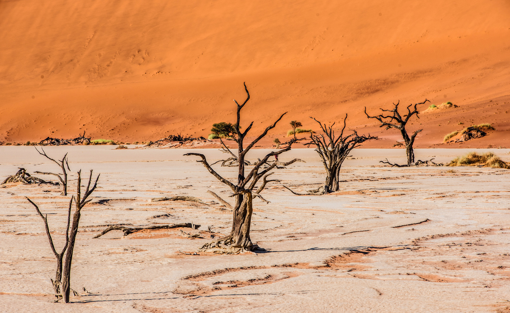 Deadvlei