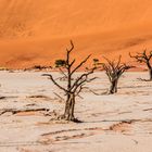 Deadvlei