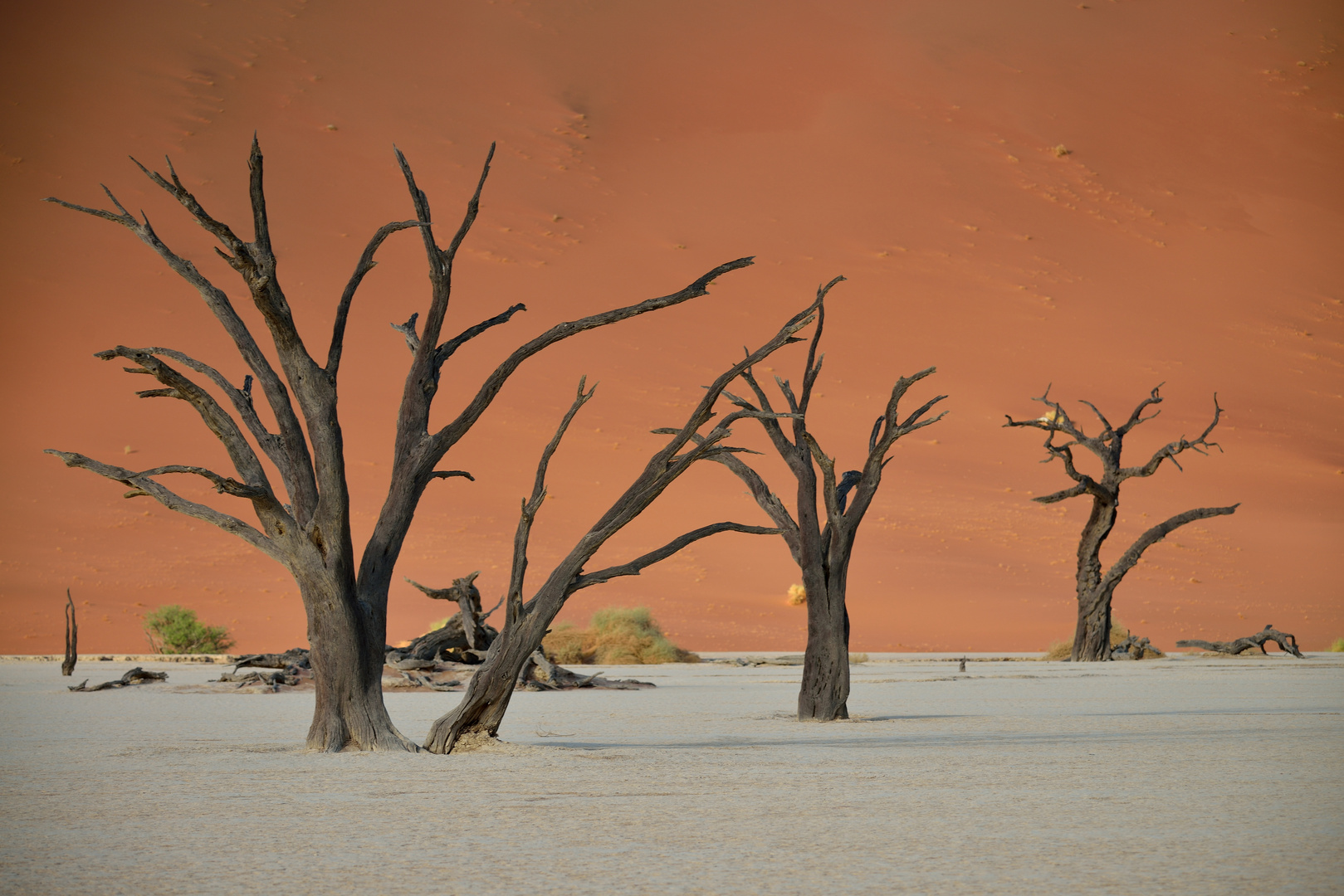 Deadvlei 04