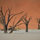 Deadvlei 04