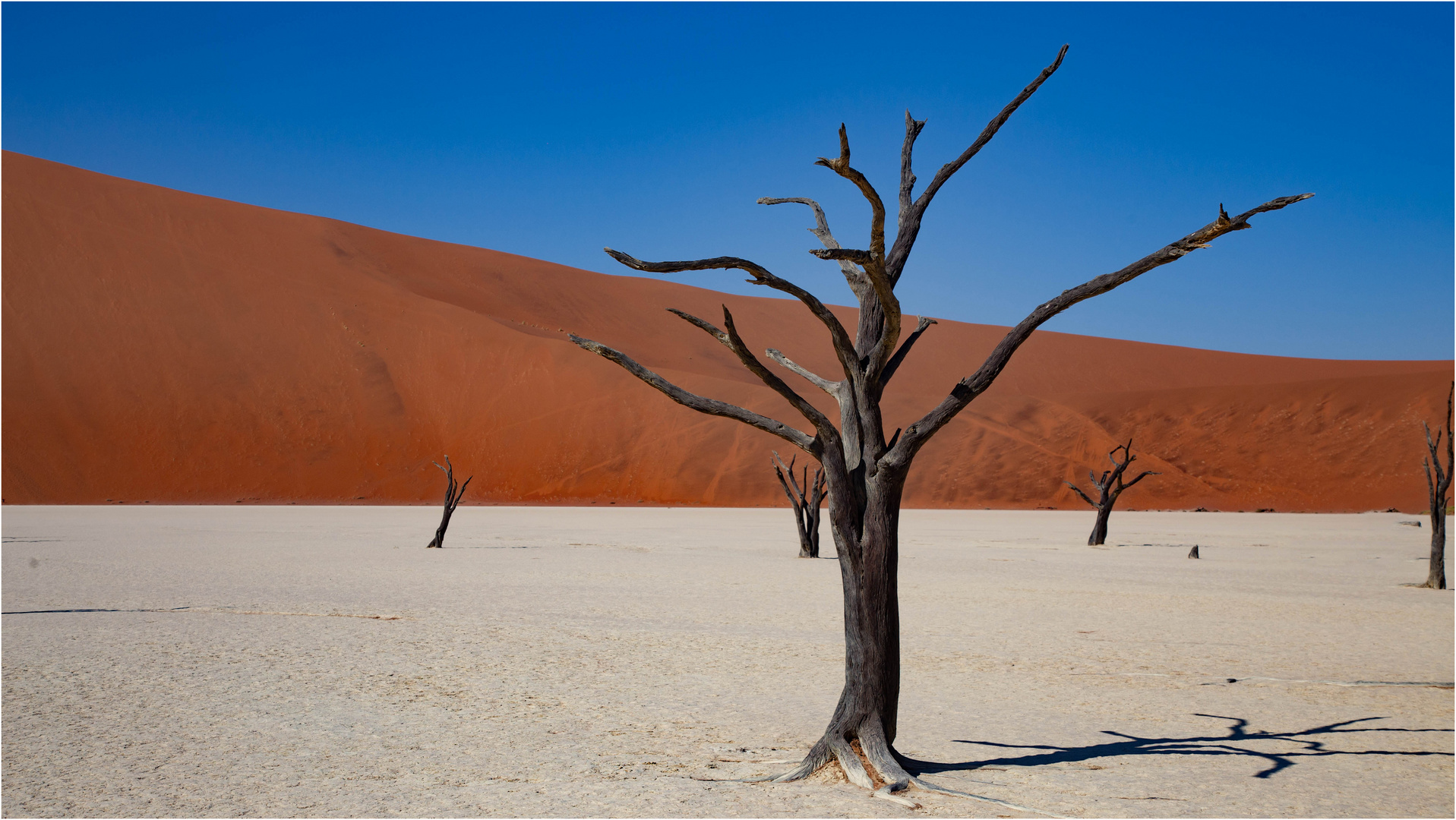 Deadvlei