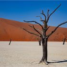 Deadvlei