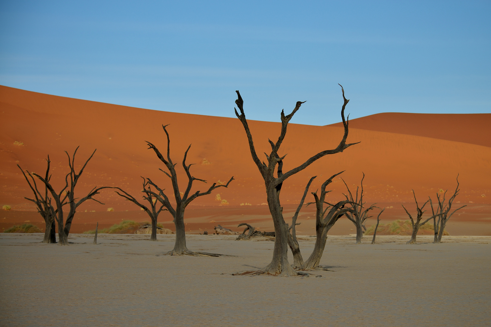 Deadvlei 05