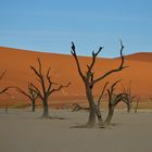 Deadvlei 05