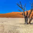 Deadvlei